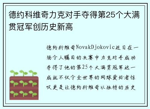 德约科维奇力克对手夺得第25个大满贯冠军创历史新高